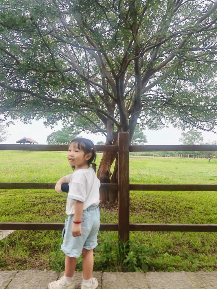 小雨站在大树前的木栅栏旁